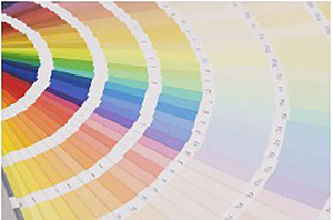 ABANICO DE COLORES