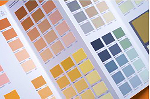 CARTA DE COLOR